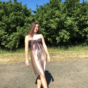 Calvin Klein size 8 brown gold ombré dress